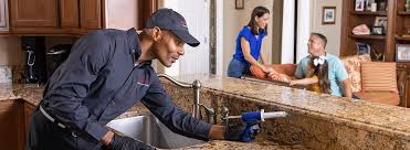 Best Residential Pest Control  in Barnsdall, OK